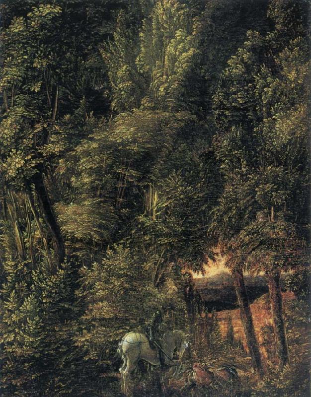 Albrecht Altdorfer St George oil painting image